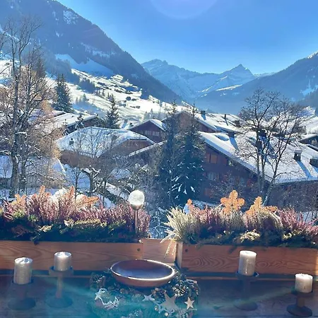 Modern And Bright In Centre Gstaad